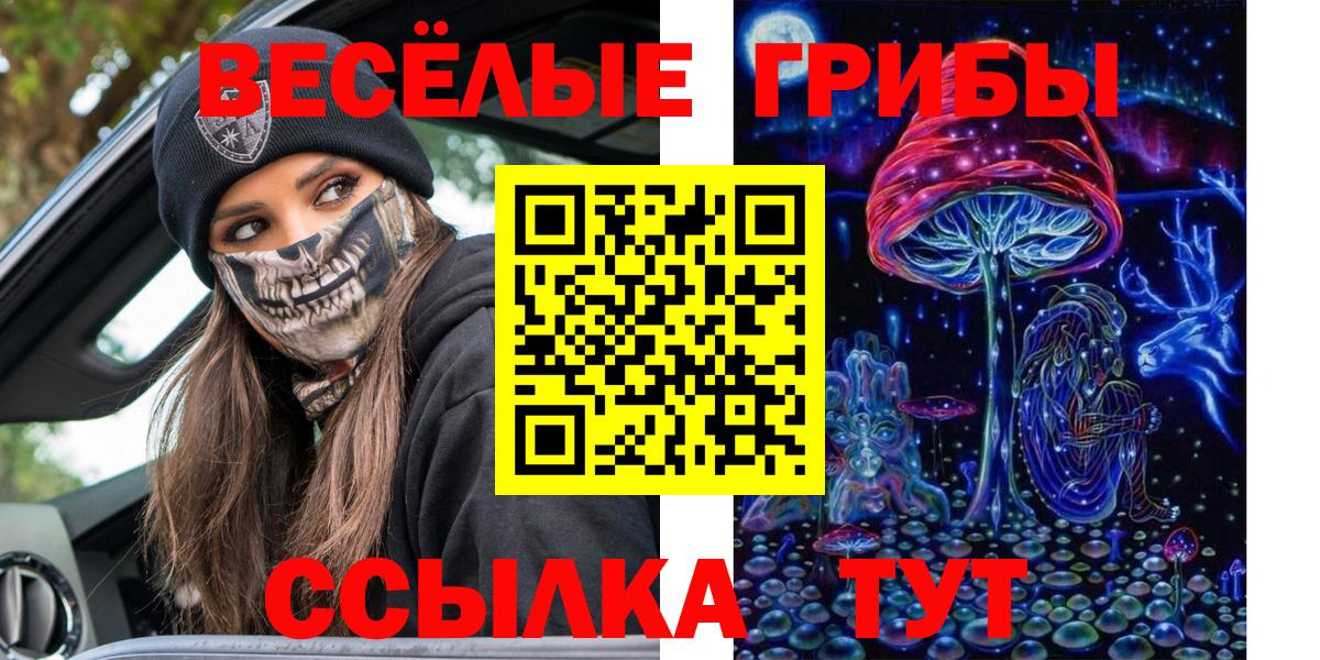 Осинники  Псилоцибиновые грибы мицелий  Вход с VPN 