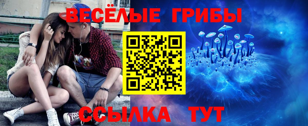 Псилоцибиновые грибы Cubensis Осинники